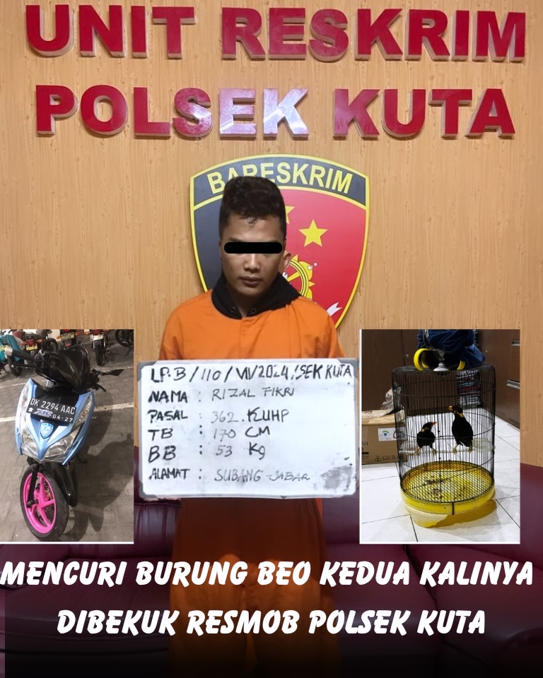 IMG 20240712 WA0021