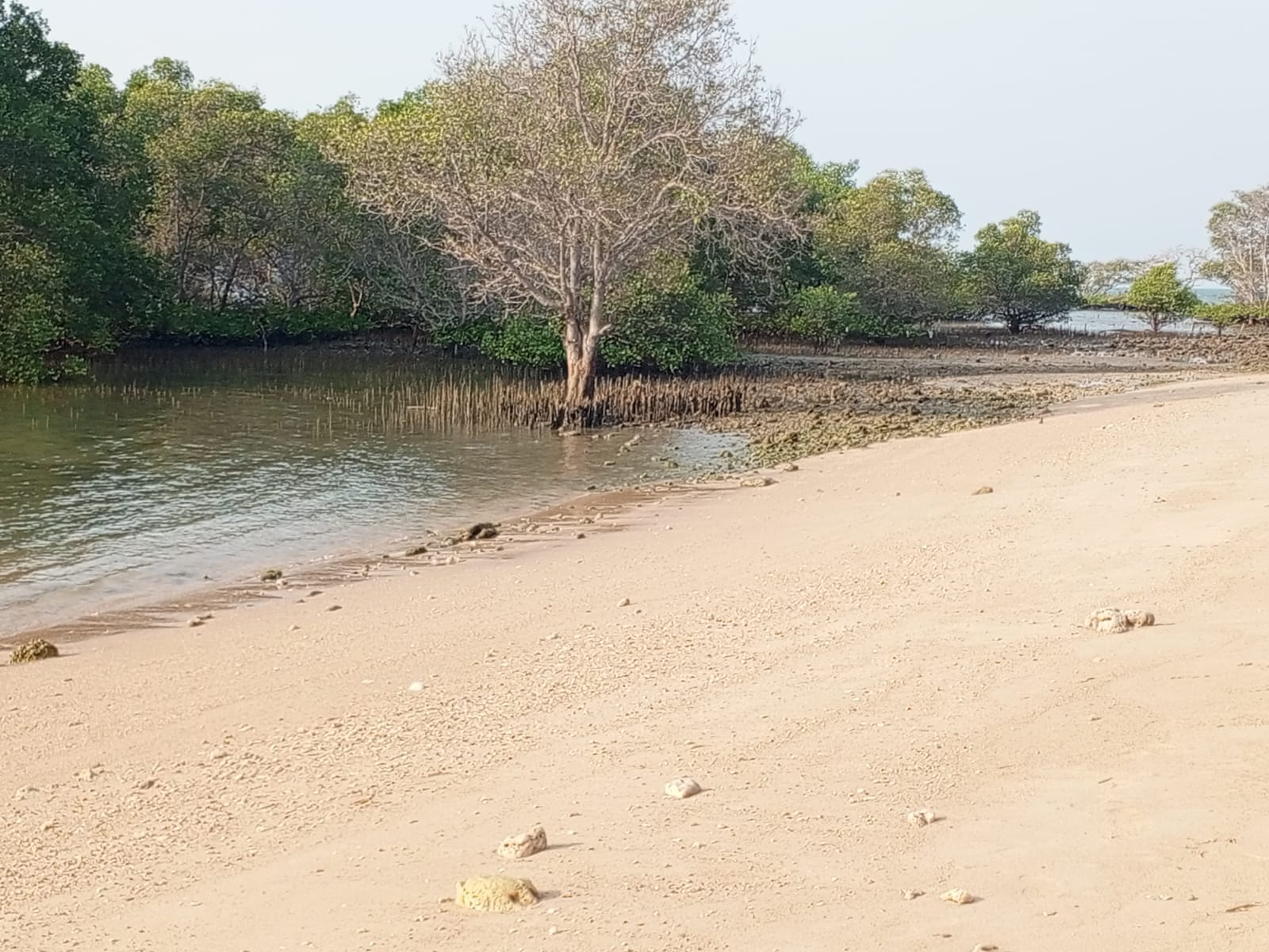 IMG 20240725 WA0007