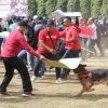 IMG 20240822 WA0027
