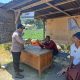 IMG 20241012 WA0019