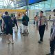 IMG 20241015 WA0036