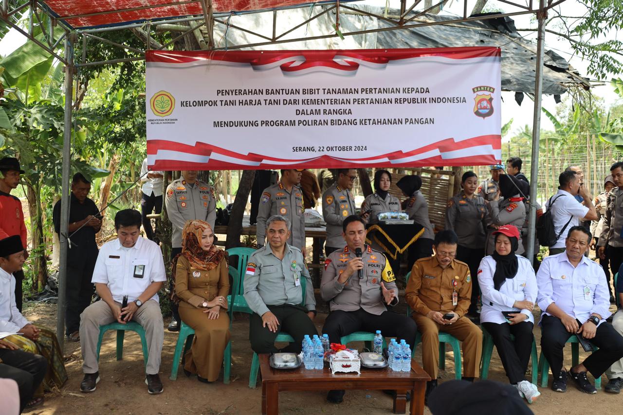IMG 20241023 WA00541
