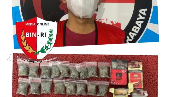 Keberhasilan Satresnarkoba Polrestabes Surabaya Dalam Menangkap Pengedar Narkotika Jenis Ganja