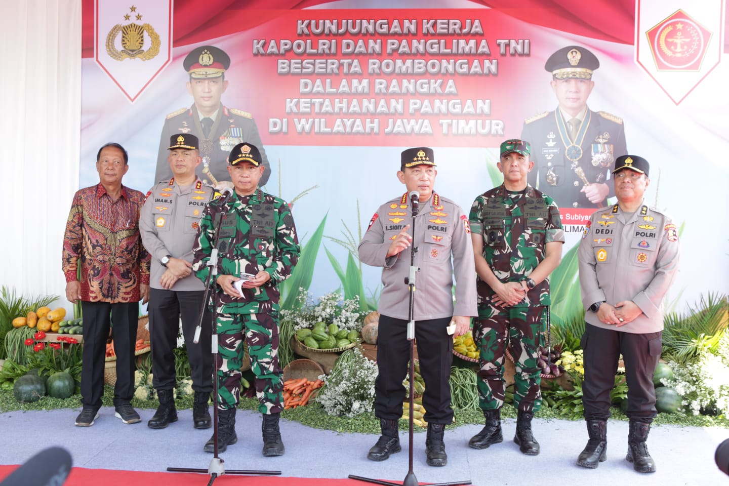 IMG 20241120 WA00581