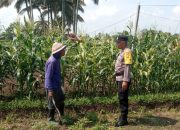 Dukung Ketahanan Pangan Nasional, Bhabinkamtibmas Kel. Bebalang Sambangi Subak Badung