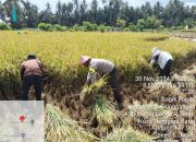 Dukung Asta Cita Presiden Prabowo, Bripka Agus Salim Bantu Petani di Lombok Timur
