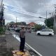 IMG 20241208 WA0061
