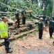 IMG 20241211 WA0074