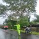 IMG 20241213 WA0056