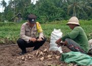 Dukung Ketahanan Pangan Nasional, Bhabinkamtibmas Monitoring Pemanfaatan Lahan Pekarangan Warga 12 Dukung Ketahanan Pangan Nasional, Bhabinkamtibmas Monitoring Pemanfaatan Lahan Pekarangan Warga