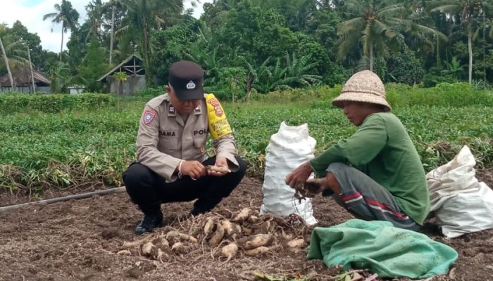 Dukung Ketahanan Pangan Nasional, Bhabinkamtibmas Monitoring Pemanfaatan Lahan Pekarangan Warga