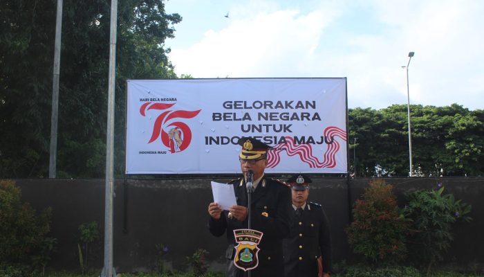 IMG 20241219 WA00501