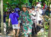 Sinergitas TNI Percepat Rehabilitasi Pasca Bencana di Ponorogo 6 Sinergitas TNI Percepat Rehabilitasi Pasca Bencana di Ponorogo
