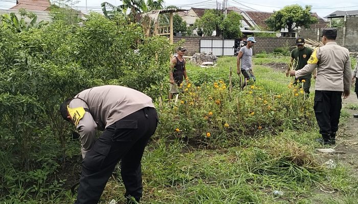 Optimalisasi Pekarangan: Polsek Dentim Galakkan Penanaman Pangan Bergizi