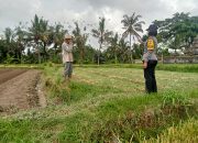 Dukung Ketahanan Pangan, Bhabinkamtibmas Kel. Kawan Monitoring Pemanfaatan Lahan Warga