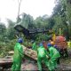 IMG 20241222 WA0077