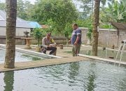 Dukung Ketahanan Pangan, Bhabinkamtibmas Desa Kayubihi Sambangi Kolam Ikan Warga