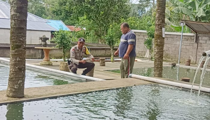 Bhabinkamtibmas Monitoring Ketahanan Pangan Bergizi di Desa Pengotan