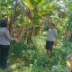 IMG 20241231 WA0020