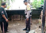 Sambangi Warga Dan Monitoring Pemanfaatan Lahan Pekarangan Pangan Bergizi di Kelurahan Bebalang 11 Sambangi Warga Dan Monitoring Pemanfaatan Lahan Pekarangan Pangan Bergizi di Kelurahan Bebalang