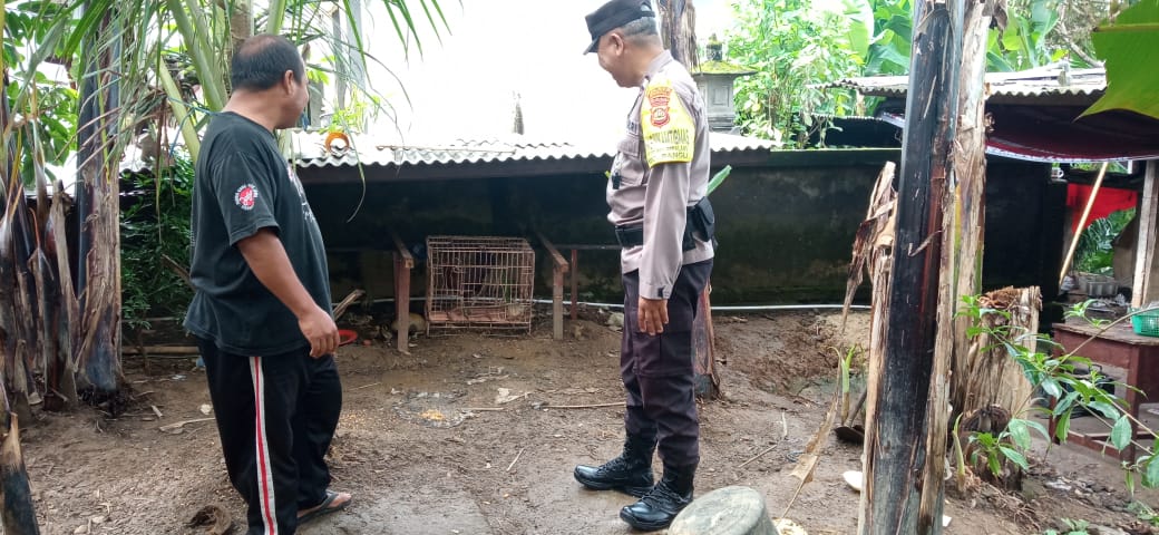 IMG 20250101 WA0047