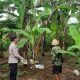 IMG 20250101 WA0048