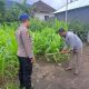 IMG 20250113 WA0074