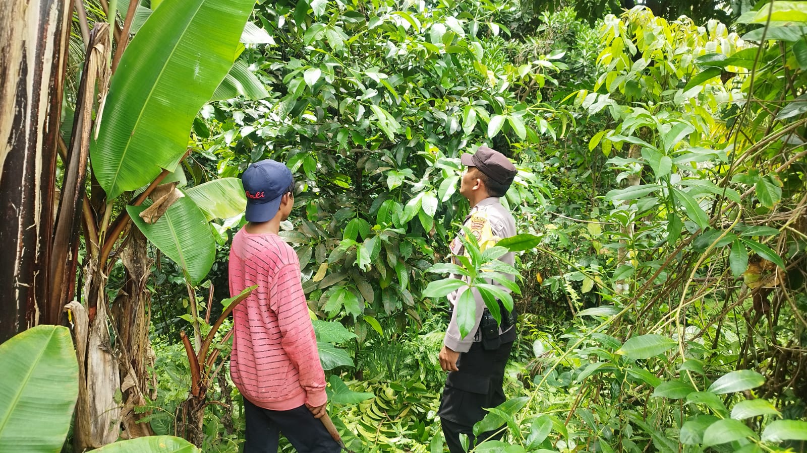 IMG 20250114 WA0019
