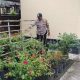 IMG 20250114 WA0021