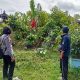 IMG 20250114 WA0024