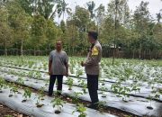 Bhabinkamtibmas Desa Kayubihi, Monitoring Ketahanan Pangan Bergizi di Banjar Kutaundisan 8 Bhabinkamtibmas Desa Kayubihi, Monitoring Ketahanan Pangan Bergizi di Banjar Kutaundisan