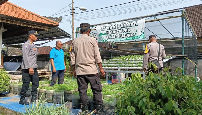 Polsek Dentim Galakkan Ketahanan Pangan: Tebar 500 Bibit Ikan Lele di Desa Kesiman Kertalangu