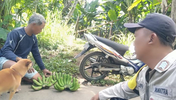 Bhabinkamtibmas Desa Kayubihi, Monitoring Ketahanan Pangan Bergizi di Banjar Cingang