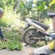 IMG 20250120 WA0057