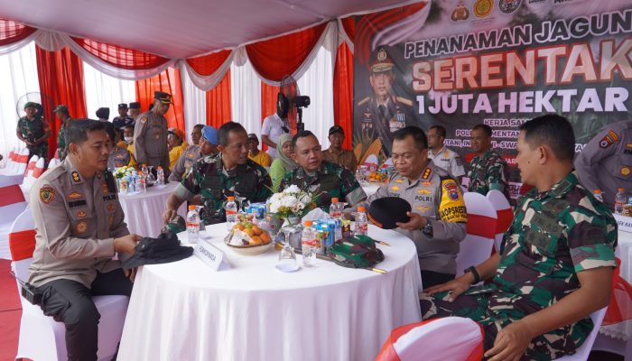 IMG 20250122 WA00131