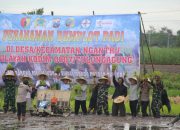 Demplot Padi di Ngantru, Langkah Strategis Dukung Ketahanan Pangan Nasional