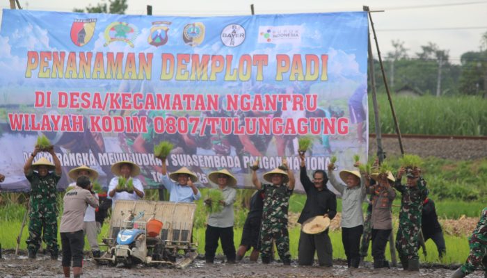 IMG 20250123 WA0117