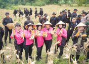 Sat Brimob Polda Jateng Panen Raya di Sragen, Dukung Ketahanan Pangan Nasional