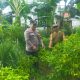 IMG 20250206 WA0048