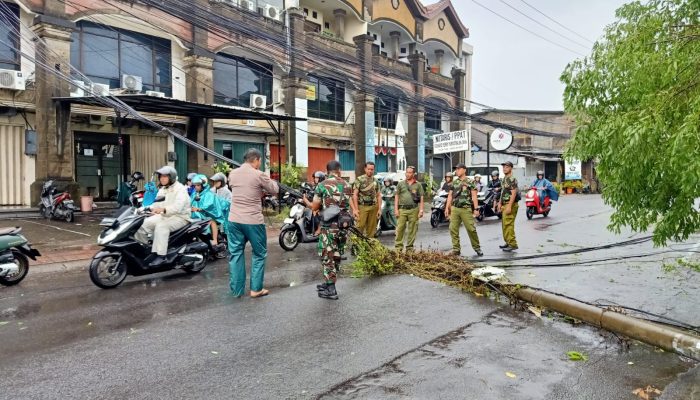 Cuaca Buruk Sebabkan Pohon Tumbang dan Tiang Kabel Optik Roboh di Jalan Nakula Barat Legian Kita Badung, Bhabinkamtibmas Atensi