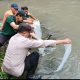 IMG 20250214 WA0029