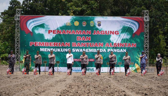 IMG 20250215 WA0050