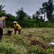 IMG 20250219 WA0024