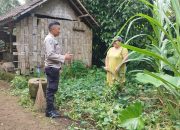 Bhabinkamtibmas Monitoring Ketahanan Pangan Bergizi di Lingkungan Kubu Bangli 8 Bhabinkamtibmas Monitoring Ketahanan Pangan Bergizi di Lingkungan Kubu Bangli