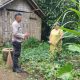 IMG 20250221 WA0018