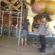 IMG 20250301 WA0019