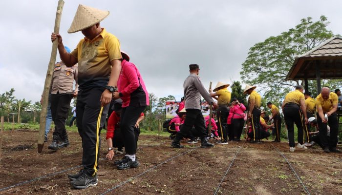 Dukung Ketahanan Pangan, Kapolres Bangli Tanam Jagung Bersama Bhayangkari.