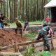 IMG 20250301 WA0073