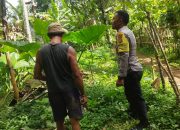 Bhabinkamtibmas Monitoring Ketahanan Pangan di Lingkungan Kubu Bangli 13 Bhabinkamtibmas Monitoring Ketahanan Pangan di Lingkungan Kubu Bangli