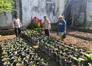Monitoring Ketahanan Pangan, Kanit Binmas didampingi Bhabinkamtibmas Sambangi Warga di Lingkungan Bebalang 12 Monitoring Ketahanan Pangan, Kanit Binmas didampingi Bhabinkamtibmas Sambangi Warga di Lingkungan Bebalang